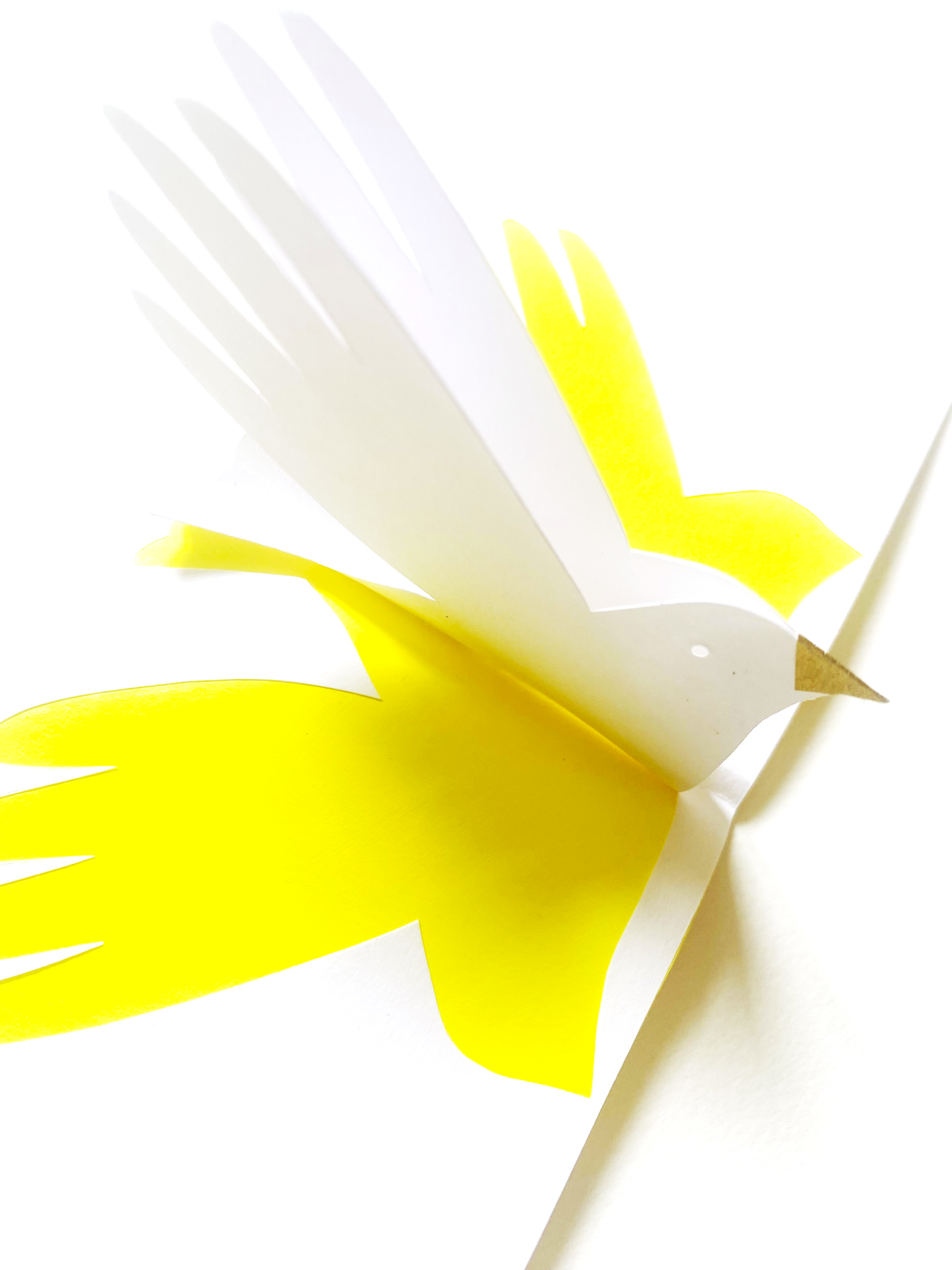 Colibri jaune